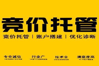 案例解析：如何有效进行SEM推广